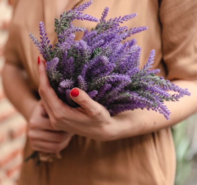 Hoa Lavender Chụp Kỷ Yếu